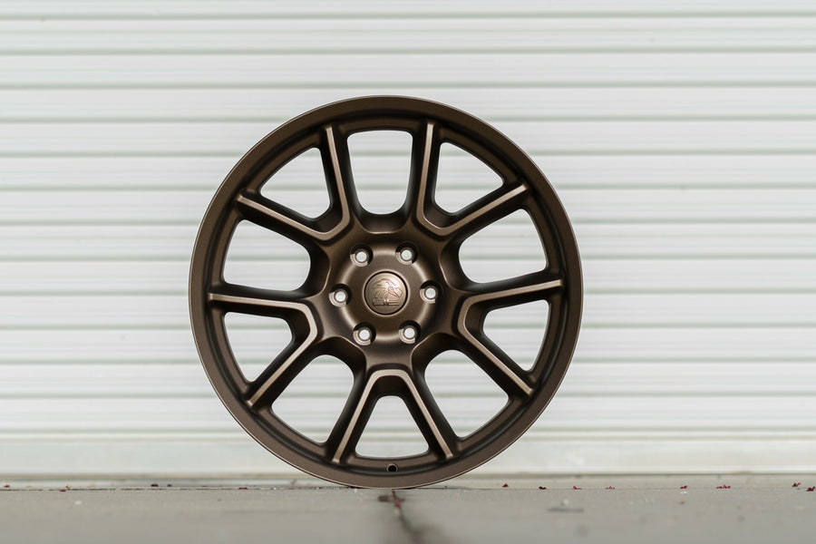 OE Wheels DG21 Lifestyle Photos